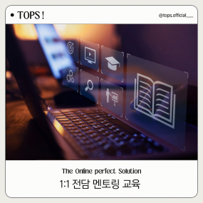 1:1 전담 멘토링 교육